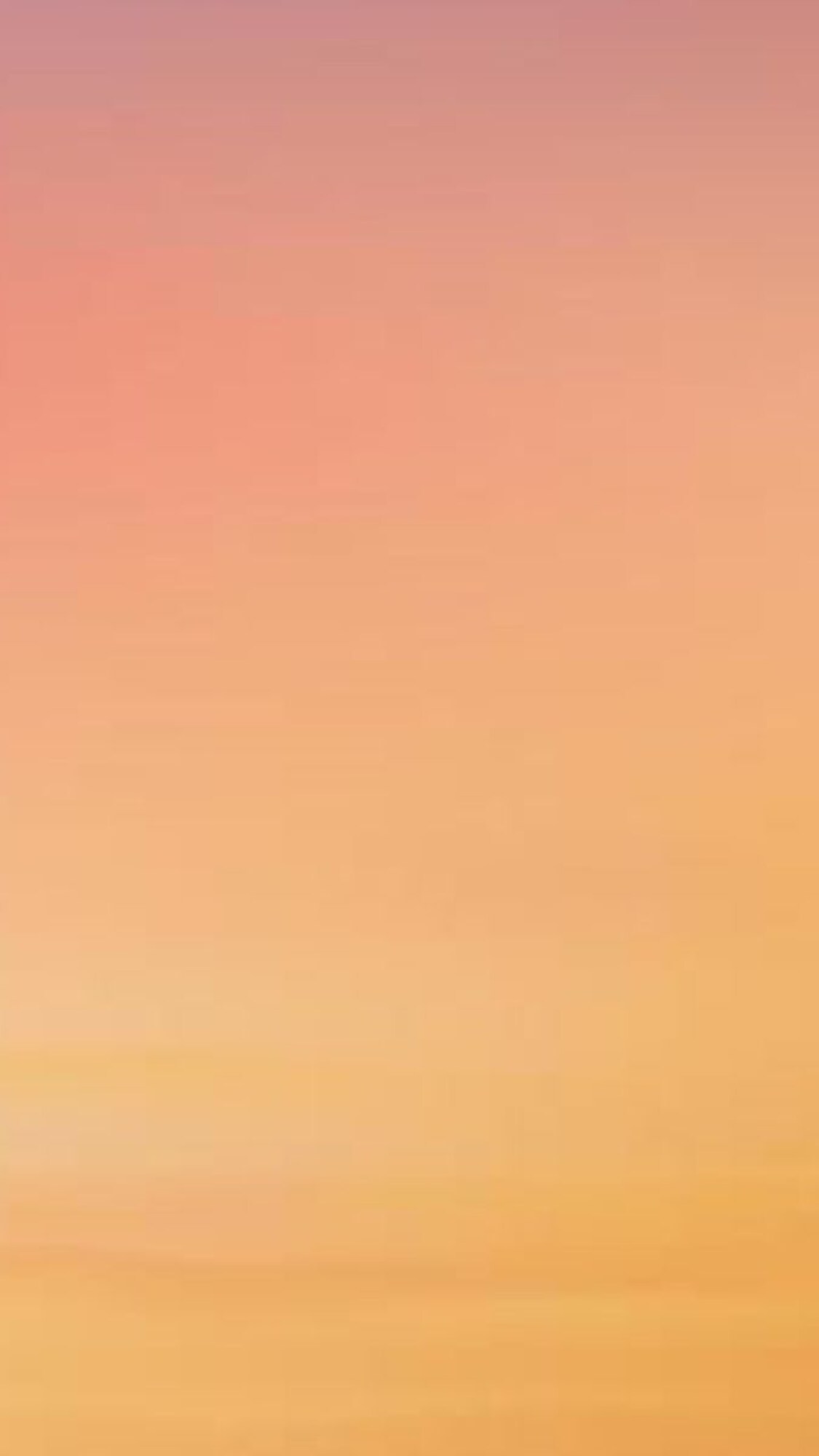 Sweet like chocolate! The Bags You Crave