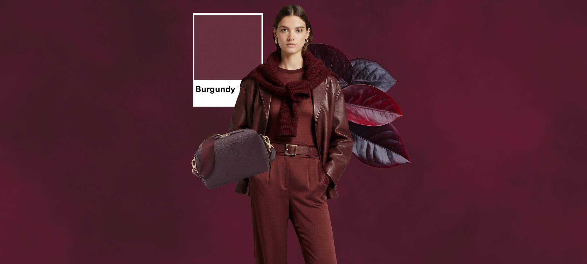 Tamnocrvena boja s energijom glavnog lika Bordo