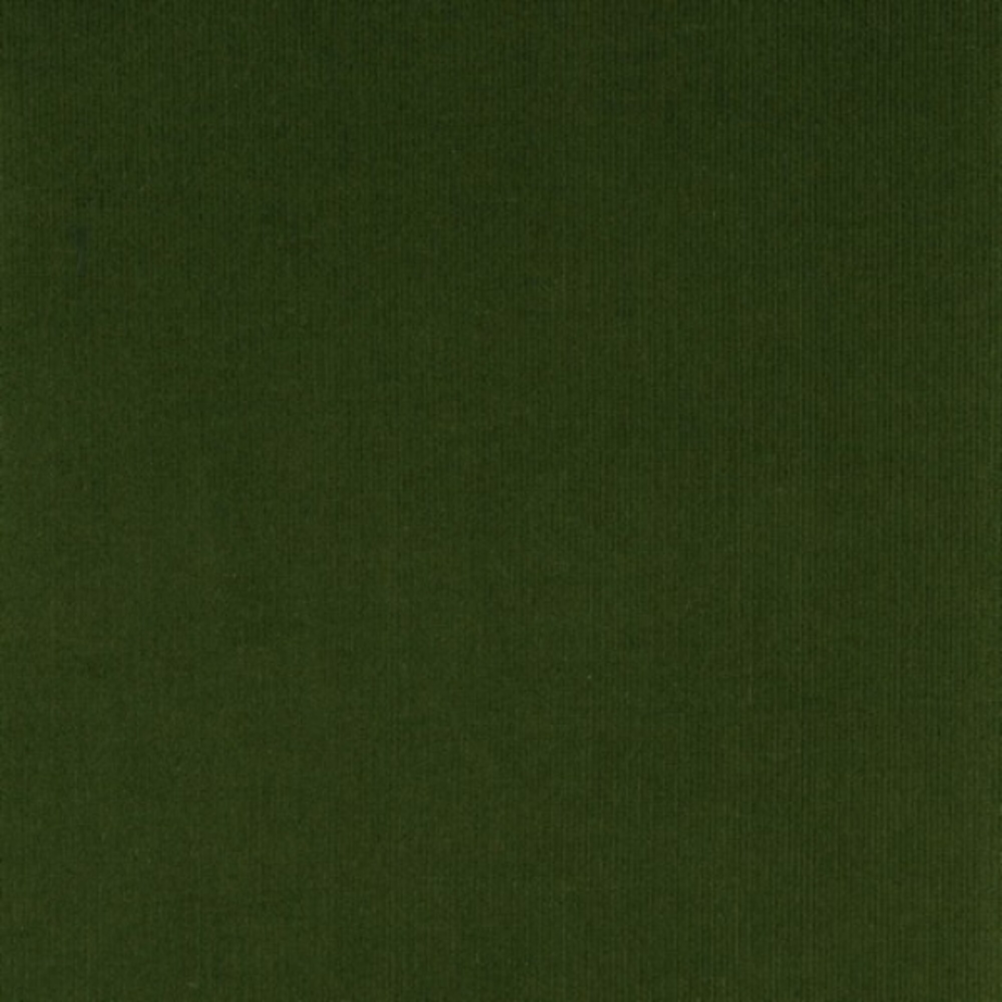 Essential Safari Vibe Style Timeless Neutrals