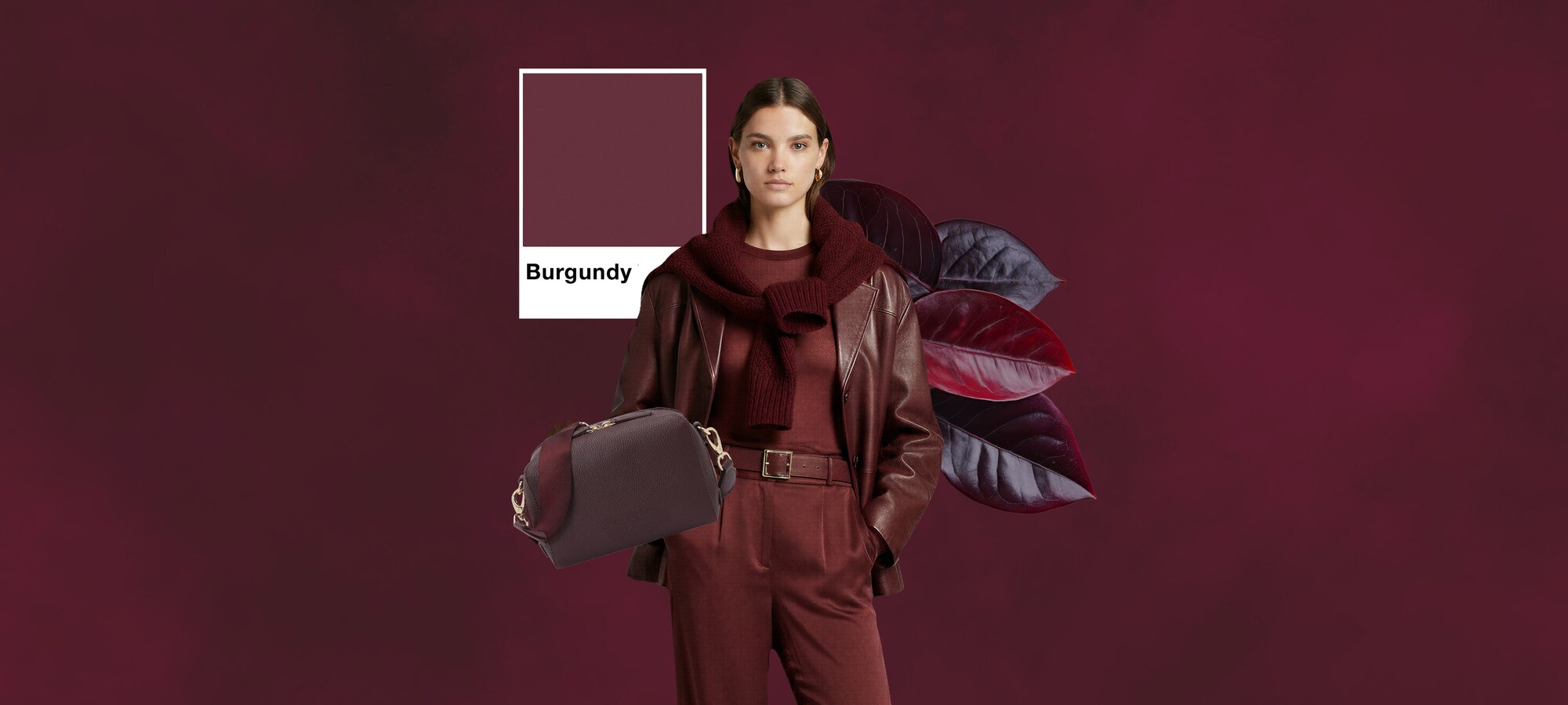 Tamnocrvena boja s energijom glavnog lika Bordo