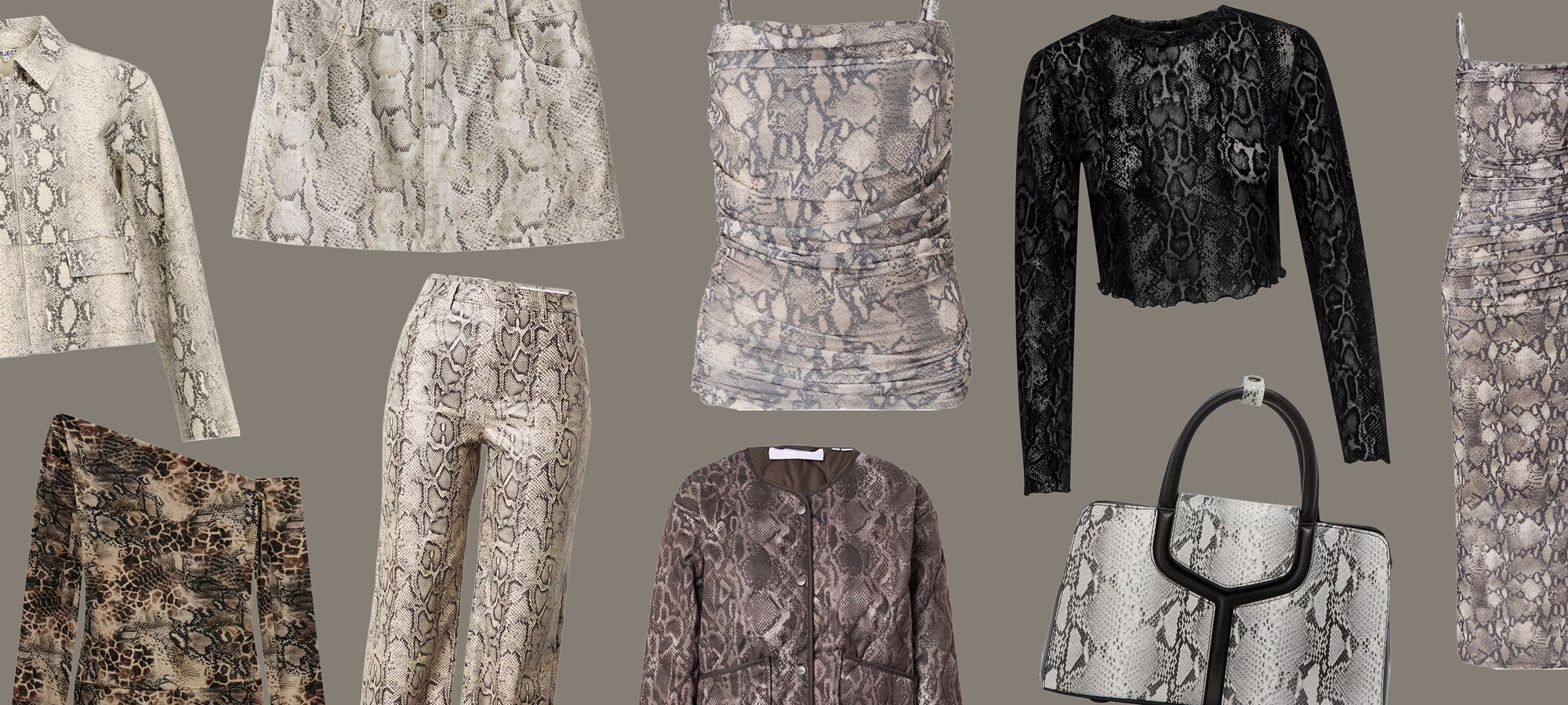 From minimal to statement Snake, your way