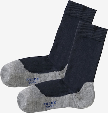 FALKE Socks 'Sunny Days' in Blue: front