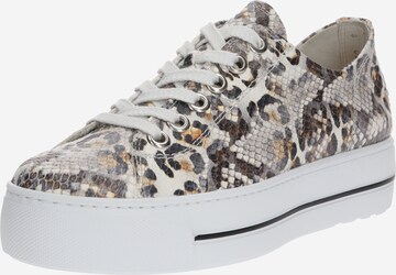 Paul Green Sneakers laag in Bruin: voorkant