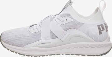 PUMA Sportschoen 'Ignite evoknit' in Grijs