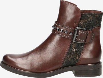 Bottines CAPRICE en marron