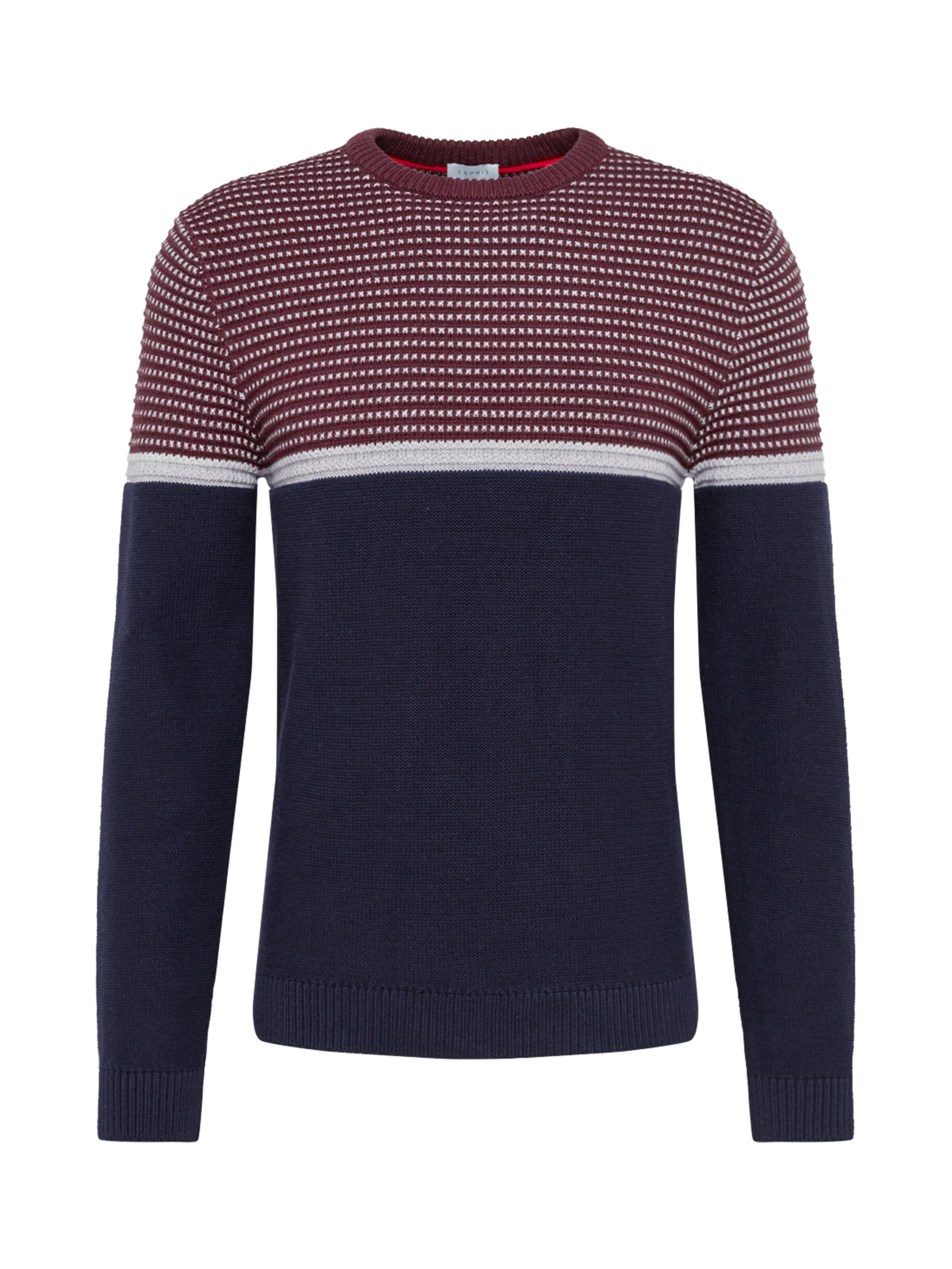 ESPRIT - Trui in de kleur Marine