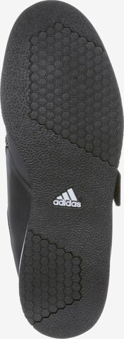 ADIDAS PERFORMANCE Sportschuh 'Powerlift 3.1' in Schwarz