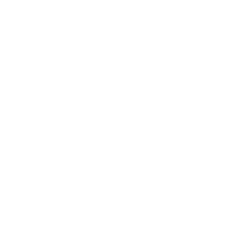 Lauren Ralph Lauren Petite Logo