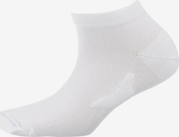 Chaussettes BIRKENSTOCK en blanc