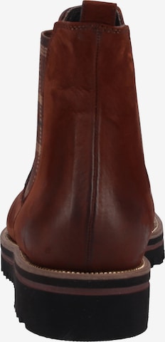 Chelsea Boots Paul Green en marron