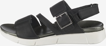 Legero Sandals in Black