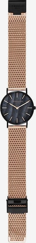 Liebeskind Berlin Analog Watch in Gold