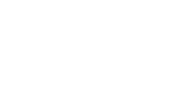 N91 Logo