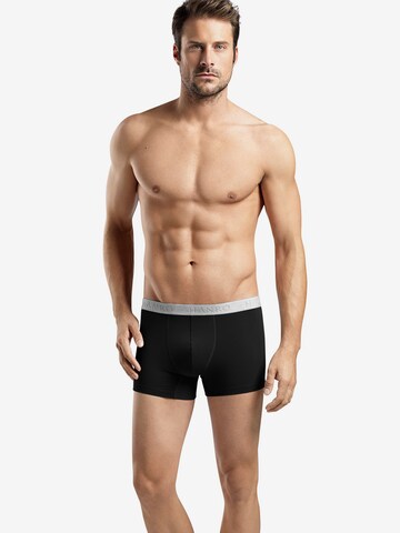 Hanro Boxershorts 'Cotton Essentials' in Zwart: voorkant