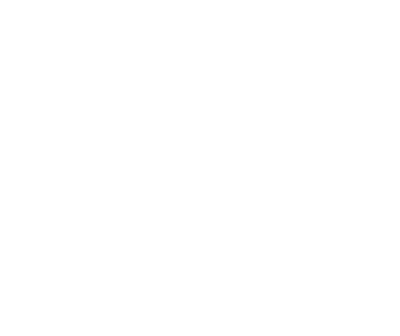 BDG Urban Outfitters Logo