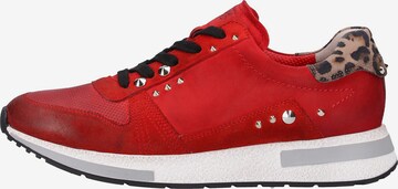 Paul Green Sneaker in Rot