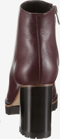 PETER KAISER Ankle Boots 'Gwen' in Purple