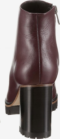 PETER KAISER Ankle Boots 'Gwen' in Purple