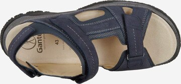 Ganter Wandelsandalen in Blauw