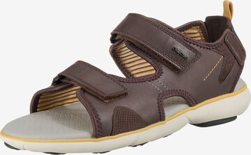 Sandales GEOX en marron : devant