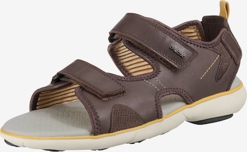 GEOX Sandalen in Bruin: voorkant