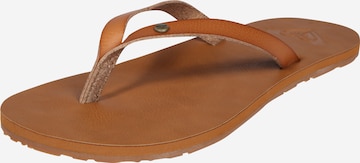 ROXY Teenslipper 'JYLL' in Bruin: voorkant