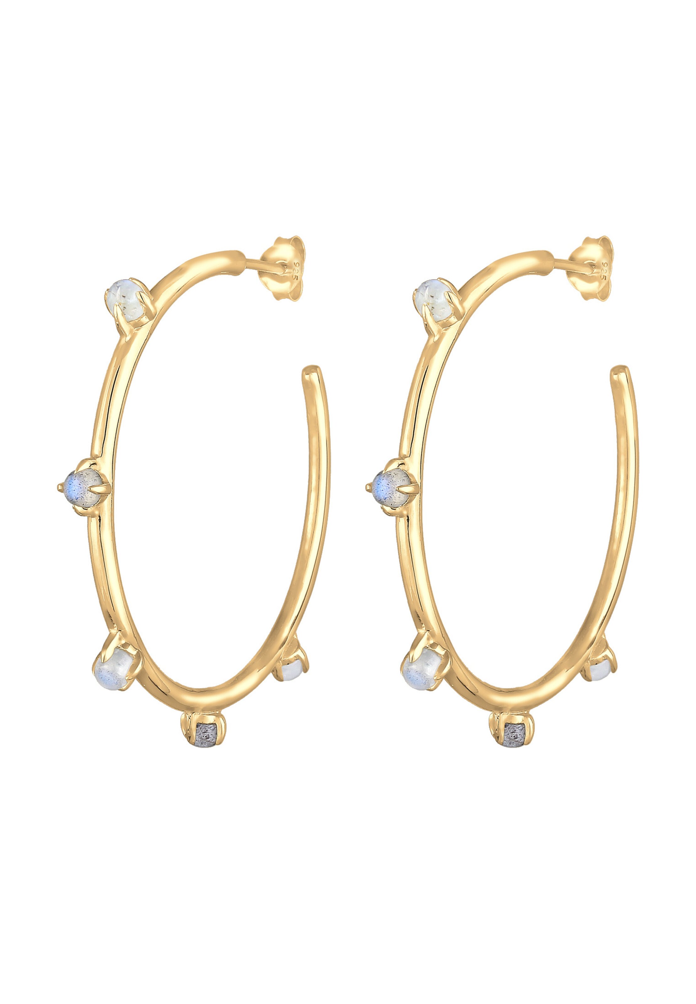 ELLI PREMIUM Earrings in Gold: front