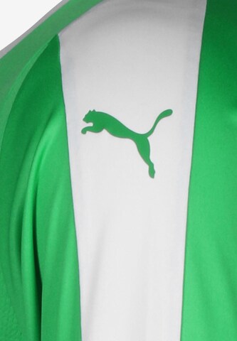 PUMA Jersey 'Liga' in Green