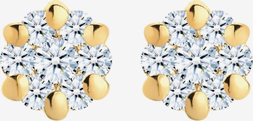 Elli DIAMONDS Earrings in Gold: front