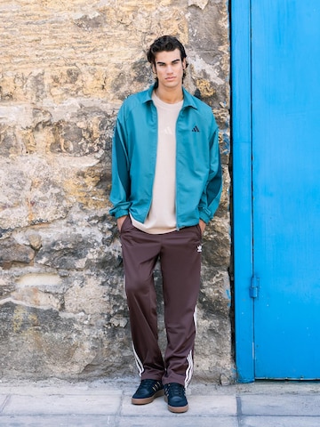 Blue Jacket Look