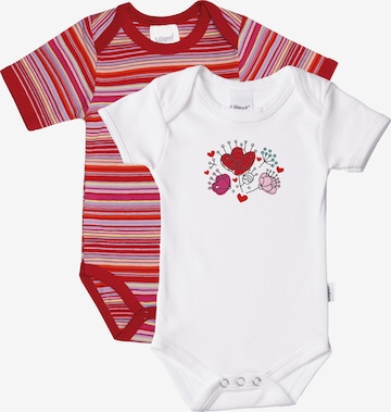 Baby body rot - Die hochwertigsten Baby body rot analysiert