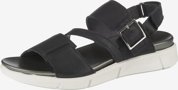 Legero Sandals in Black: front