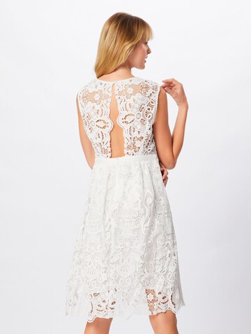 Boohoo Φόρεμα κοκτέιλ 'LACE SKATER DRESS' σε λευκό: πίσω