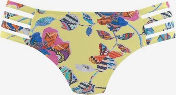 SUNSEEKER Bikini Bottoms 'Jam' in Yellow: front