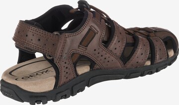 GEOX Hiking Sandals 'S. Strada' in Brown