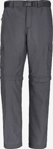 Jan Vanderstorm Regular Cargo Pants 'Jannis' in Grey: front