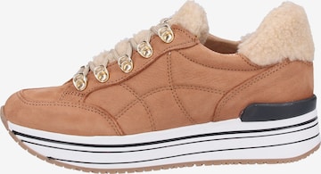 SCAPA Sneakers in Brown