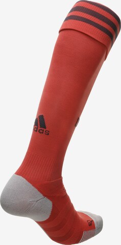 ADIDAS SPORTSWEAR Soccer Socks 'EM 2020 DFB' in Grey