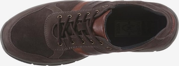 JOSEF SEIBEL Athletic Lace-Up Shoes 'Lenny' in Brown