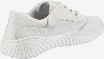 GABOR Sneakers in White