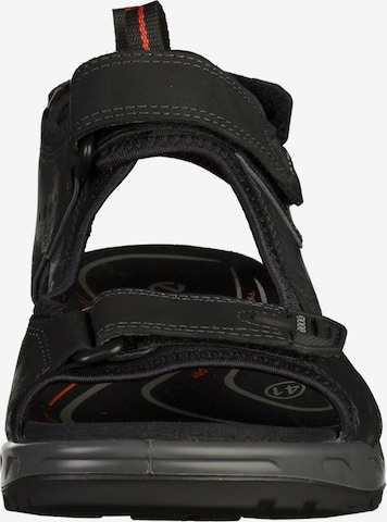 ECCO Hiking Sandals in Black