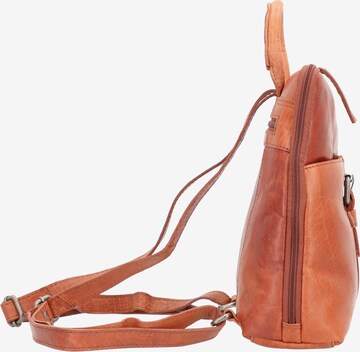 Spikes & Sparrow Backpack in Brown