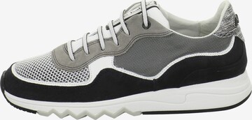 Floris van Bommel Sneakers 'Nineti' in Grey