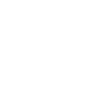 Steppin' out Logo