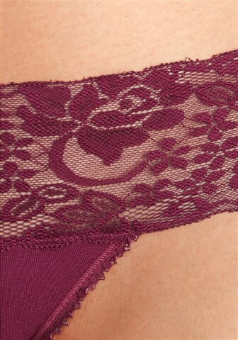 VIVANCE Panty in Mixed colors