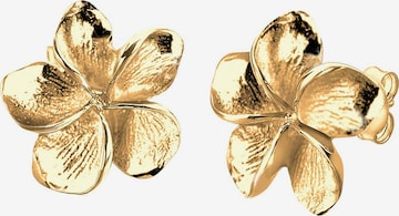 ELLI Kolczyki 'Frangipani Blüte' w kolorze złoty: przód