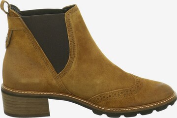 Paul Green Chelsea boots in Bruin