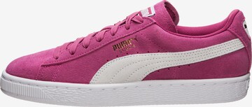 Baskets basses 'Suede Classic' PUMA en rose