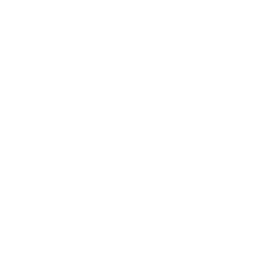 BRONX Logo