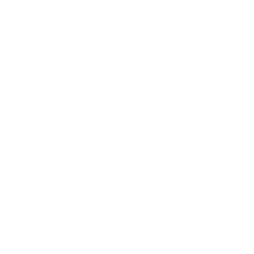 Santini Firenze Logo